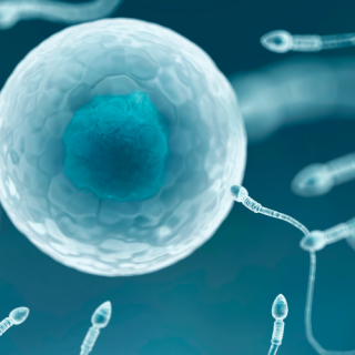 spermogram i spermokultura